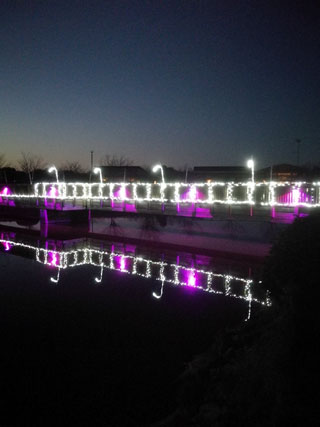 「マンゾウ」さんからの投稿写真＠かわちイルミネーション（茨城）