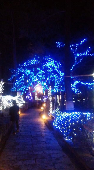 「マンゾウ」さんからの投稿写真＠芦野温泉イルミネーション（栃木）