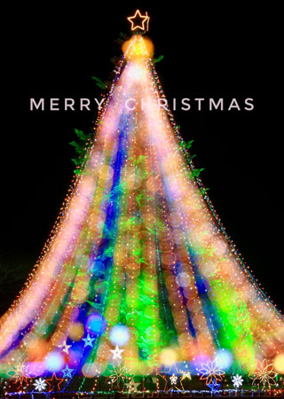 「チャリ哲レンジャー」さんからの投稿写真＠ジャンボクリスマスツリー