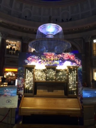 「アネモネ」さんからの投稿写真＠VenusFort Illumination 2018 -Thankful HEART-