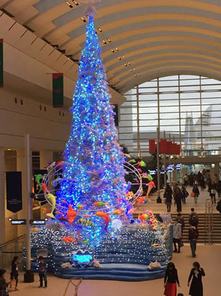 「亀楽-横太郎」さんからの投稿写真＠クイーンズスクエア横浜クリスマス 2023 IMAGINARY Christmas