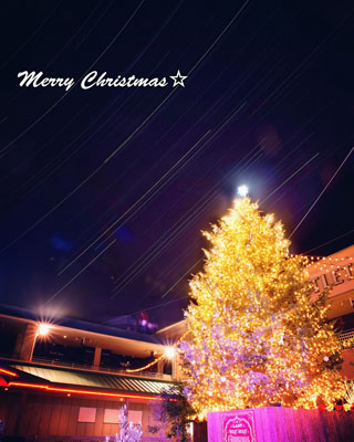 「星空メッセンジャー」さんからの投稿写真＠グランベリーモール「LAST BERRY MERRY CHRISTMAS」