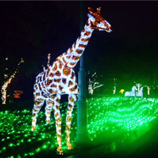 「バー・メリーゴーランド冨田」さんからの投稿写真＠あべの・天王寺イルミナージュ