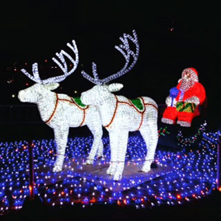 「バー・メリーゴーランド冨田」さんからの投稿写真＠あべの・天王寺イルミナージュ