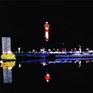 「バー・メリーゴーランド冨田」さんからの投稿写真＠あべの・天王寺イルミナージュ