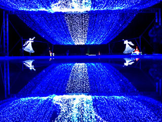 「てるぼん」さんからの投稿写真＠長居植物園 ガーデンイルミネーション2017 天空の花園