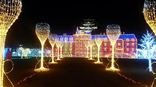 「マム」さんからの投稿写真＠大阪城イルミナージュ