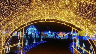 「マム」さんからの投稿写真＠大阪城イルミナージュ