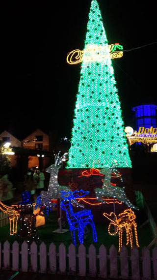 「匿名希望」さんからの投稿写真＠ドルフィンポート イルミネーション2018-2019