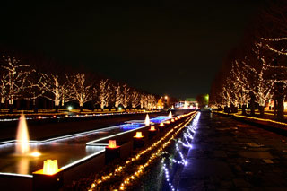 「あき」さんからの投稿写真＠国営昭和記念公園 Winter Vista Illumination 2018