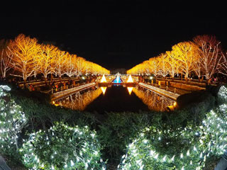 「ビート」さんからの投稿写真＠国営昭和記念公園 Winter Vista Illumination 2018