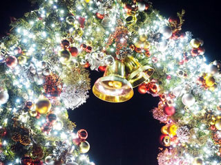 「ビート」さんからの投稿写真＠国営昭和記念公園 Winter Vista Illumination 2018