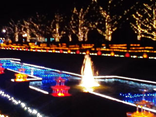 「タッキー」さんからの投稿写真＠国営昭和記念公園 Winter Vista Illumination 2018