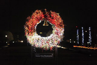 「タッキー」さんからの投稿写真＠国営昭和記念公園 Winter Vista Illumination 2018