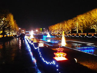 「タッキー」さんからの投稿写真＠国営昭和記念公園 Winter Vista Illumination 2018