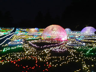 「タッキー」さんからの投稿写真＠国営昭和記念公園 Winter Vista Illumination 2018