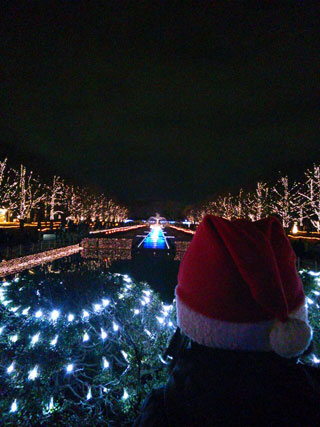 「あまなつ」さんからの投稿写真＠国営昭和記念公園 Winter Vista Illumination 2018