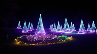 「海夕」さんからの投稿写真＠国営昭和記念公園 Winter Vista Illumination 2018