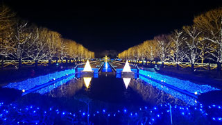 「海夕」さんからの投稿写真＠国営昭和記念公園 Winter Vista Illumination 2018