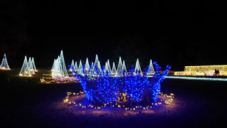 「海夕」さんからの投稿写真＠国営昭和記念公園 Winter Vista Illumination 2018