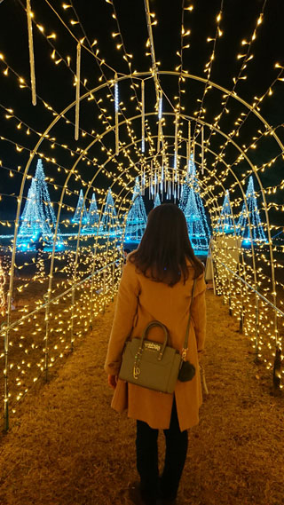 「海夕」さんからの投稿写真＠国営昭和記念公園 Winter Vista Illumination 2018