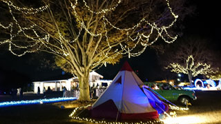 「海夕」さんからの投稿写真＠国営昭和記念公園 Winter Vista Illumination 2018