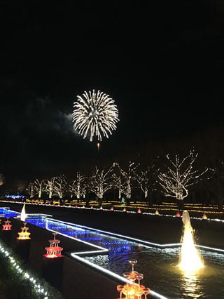 「はむす」さんからの投稿写真＠国営昭和記念公園 Winter Vista Illumination 2018