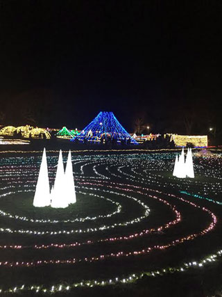 「はむす」さんからの投稿写真＠国営昭和記念公園 Winter Vista Illumination 2018