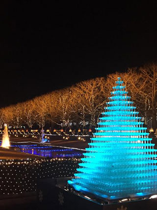 「はむす」さんからの投稿写真＠国営昭和記念公園 Winter Vista Illumination 2018
