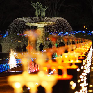 「ビート」さんからの投稿写真＠国営昭和記念公園 Winter Vista Illumination 2018