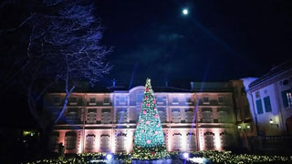 「ペンネ」さんからの投稿写真＠星の王子さまミュージアム 箱根サン=テグジュペリ ロマンティック・スターリー・ナイト