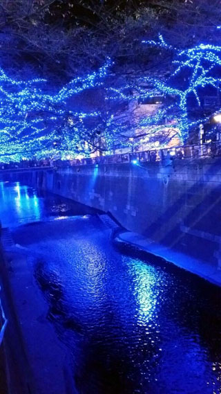 「Non☆」さんからの投稿写真＠NAKAMEGURO CHRISTMAS 2018