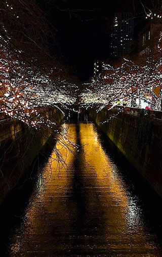 「ヘアースタジオファム」さんからの投稿写真＠NAKAMEGURO CHRISTMAS 2018