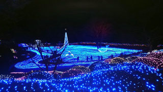 「さわら」さんからの投稿写真＠京都イルミエール おとぎの森～最後の贈り物～