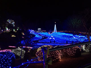 「ひろっぺ」さんからの投稿写真＠京都イルミエール おとぎの森～最後の贈り物～