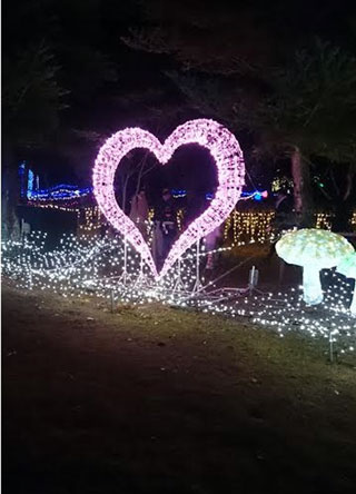 「むっちゃん」さんからの投稿写真＠京都イルミエール おとぎの森～最後の贈り物～