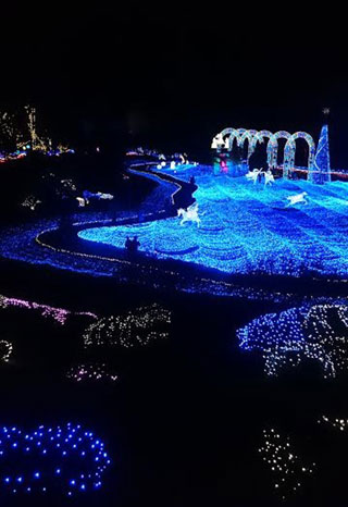 「むっちゃん」さんからの投稿写真＠京都イルミエール おとぎの森～最後の贈り物～