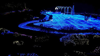 「むっちゃん」さんからの投稿写真＠京都イルミエール おとぎの森～最後の贈り物～