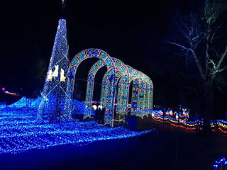 「まろん」さんからの投稿写真＠京都イルミエール おとぎの森～最後の贈り物～