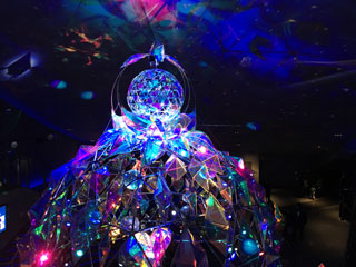 「みみみ」さんからの投稿写真＠すみだ水族館「ペンギンと過ごすクリスマス」