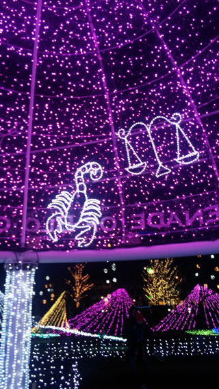 「リンゴちゃん」さんからの投稿写真＠SAKU BLOOMイルミネーション2018