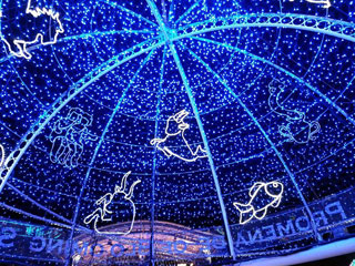 「リンゴちゃん」さんからの投稿写真＠SAKU BLOOMイルミネーション2018