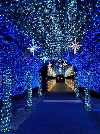 「リンゴちゃん」さんからの投稿写真＠SAKU BLOOMイルミネーション2018