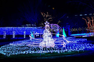 「Jin」さんからの投稿写真＠SAKU BLOOMイルミネーション2018