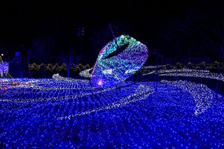 「Jin」さんからの投稿写真＠SAKU BLOOMイルミネーション2018