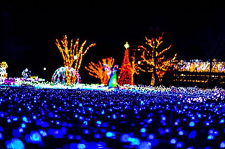 「Jin」さんからの投稿写真＠SAKU BLOOMイルミネーション2018