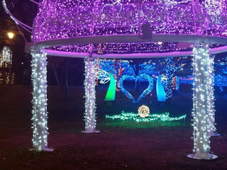 「ひろ」さんからの投稿写真＠SAKU BLOOMイルミネーション2018