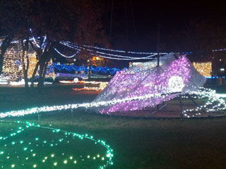 「ひろ」さんからの投稿写真＠SAKU BLOOMイルミネーション2018
