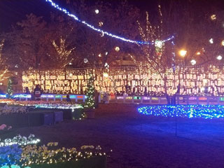 「ひろ」さんからの投稿写真＠SAKU BLOOMイルミネーション2018