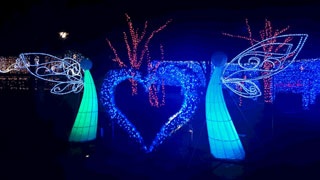 「サナルメ」さんからの投稿写真＠SAKU BLOOMイルミネーション2018